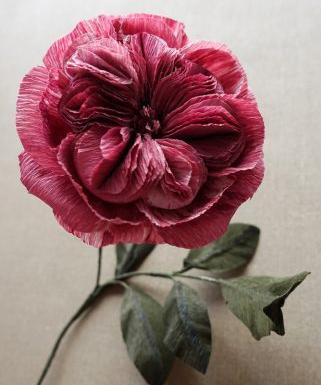 عکس گلهای بسیار زیبای جهان