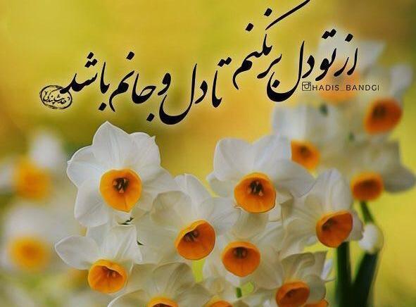 دانلود عکس نوشته گل نرگس