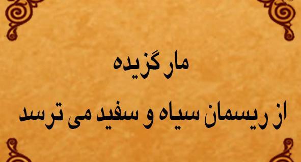 عکس ضرب المثل مار