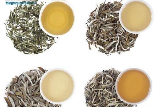 عکس چای سفید چیست