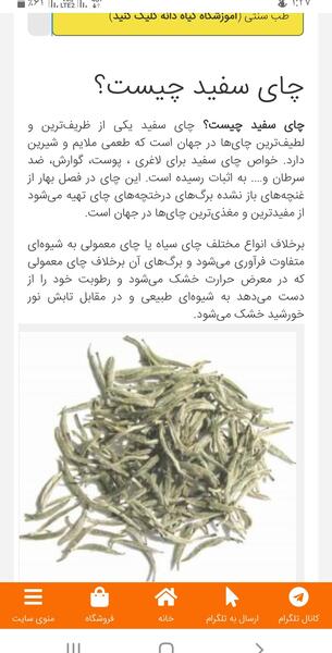 عکس چای سفید چیست