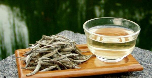 عکس چای سفید چیست