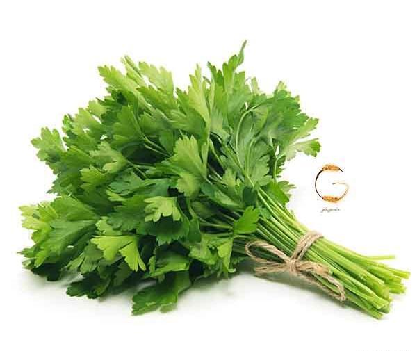 عکس دانه جعفری