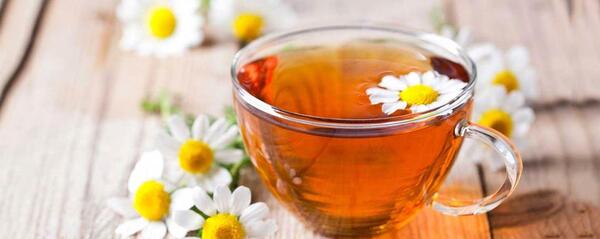 عکس چای صحرایی