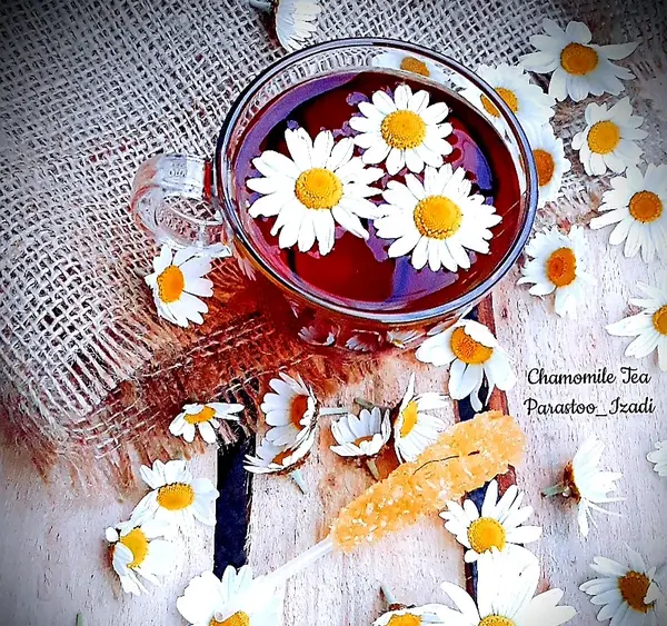 عکس چای صحرایی