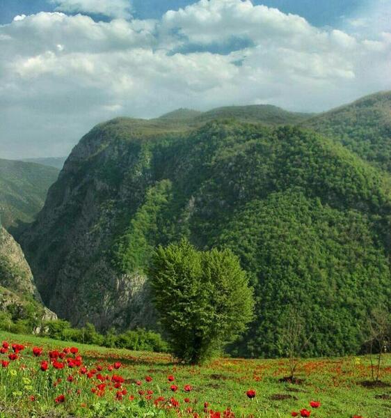 عکس طبیعت معمولی