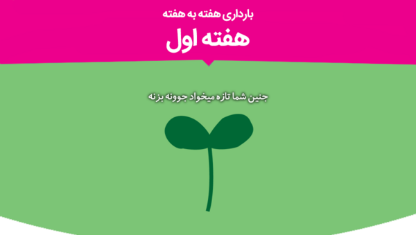 عکس خدایا یعنی میشه این ماه نی نی بیاد تو دلم
