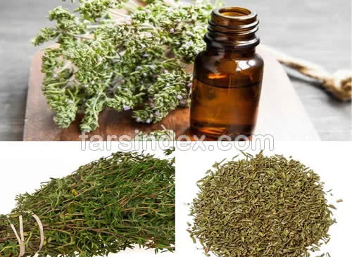 عکس انواع آویشن