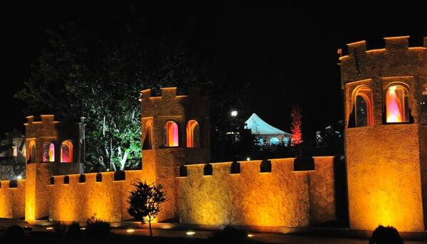 عکس شب نشین
