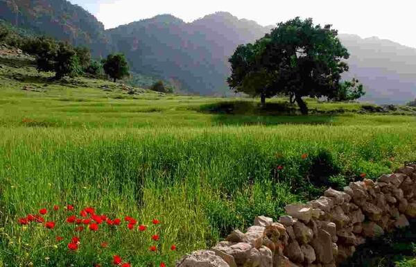 عکس از طبیعت چهارمحال بختیاری