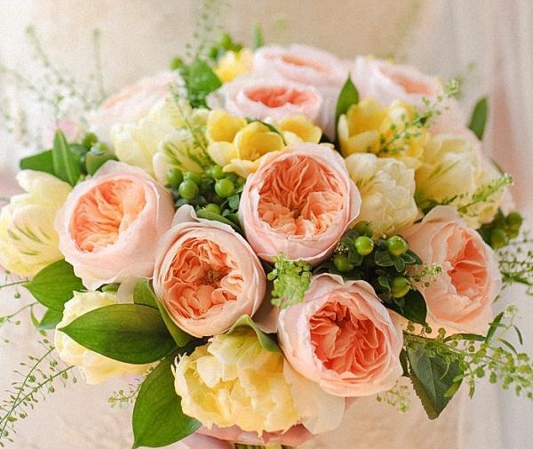 عکس گل رز ژولیت