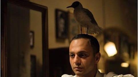 عکس یوسف صابر