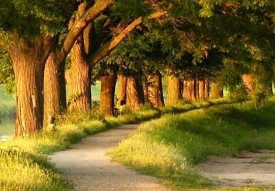 عکس منظره خیلی زیبا