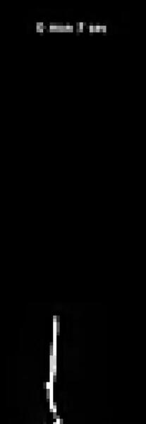 عکس سه بعدی شب