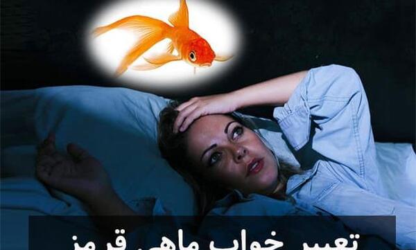 عکس غذا ماهی قرمز