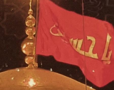 عکس بهزاد نوری