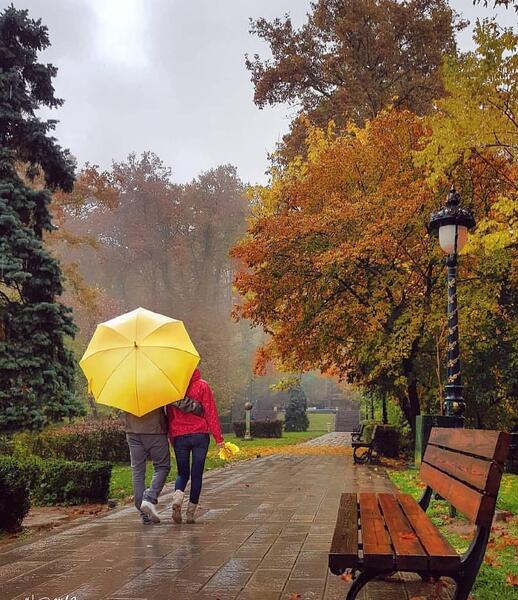 عکس ایده خلاقانه برای پست اینستاگرام