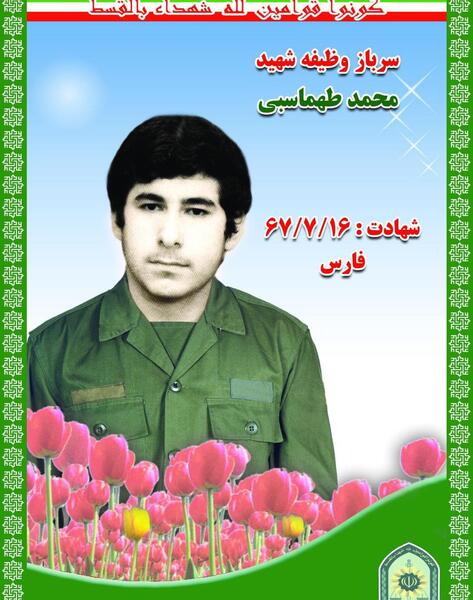 عکس محمد طهماسبی