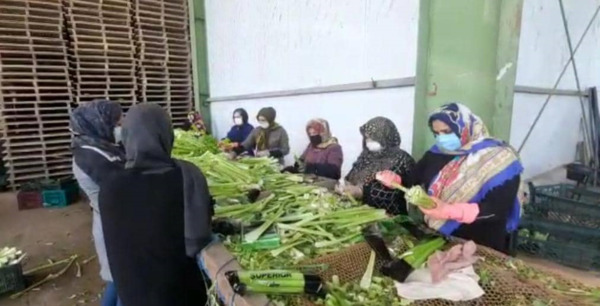 عکس محمد طهماسبی