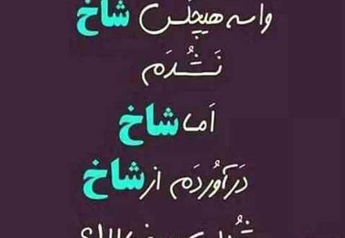 عکس پروفایل دخترونه شاخ و تیکه دار