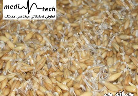 عکس جو خوراکی