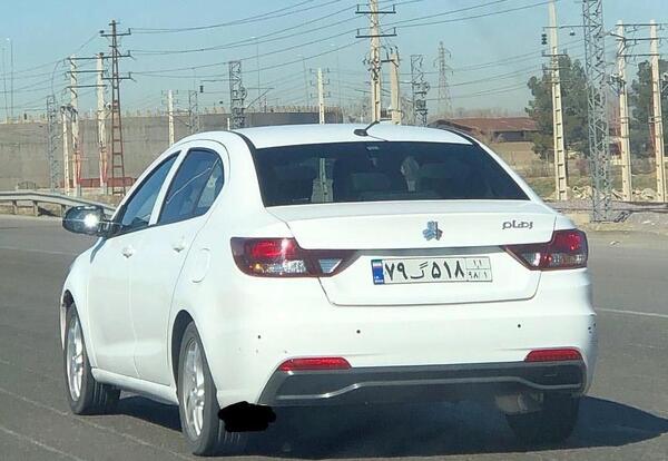 عکس شاهین نقره ای