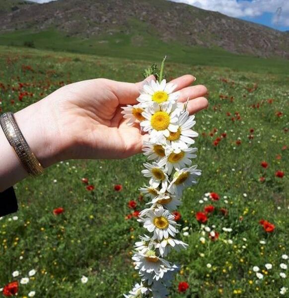 عکس بهاری صفحه گوشی