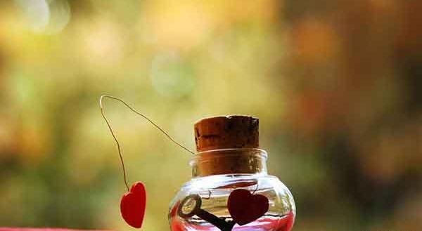 عکس های رمانتیک از طبیعت