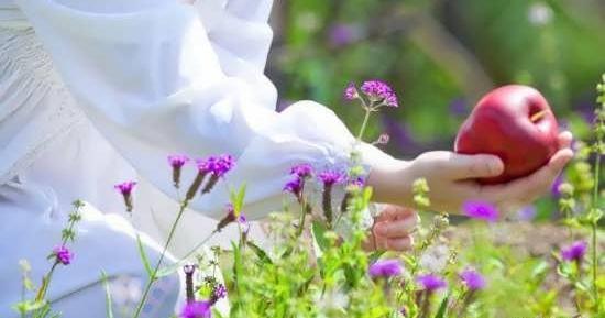 عکس های رمانتیک از طبیعت