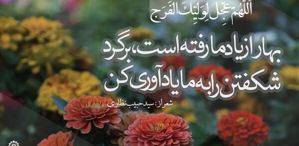 عکس نوشته بهار مهدوی