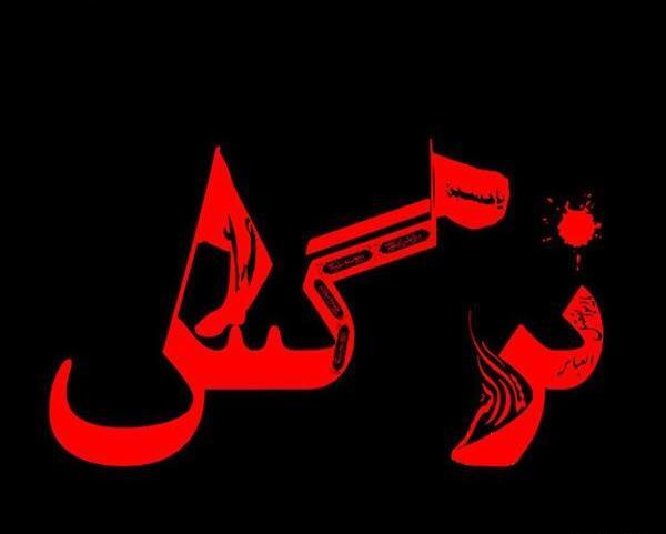 عکس نوشته مهدیه و نرگس