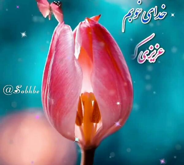 عکس استیکر الهی آمین