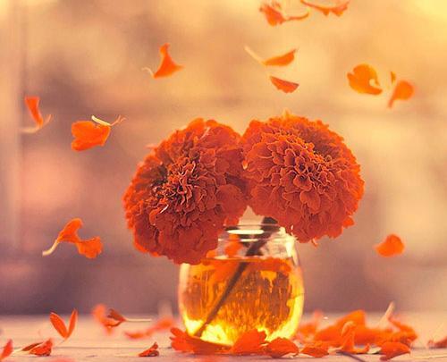 عکس ساده و قشنگ