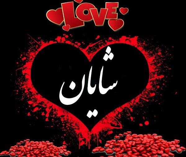 عکس شایان حسنی