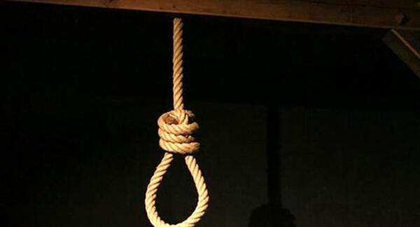 عکس شایان سعیدپور