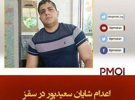 عکس شایان سعیدپور