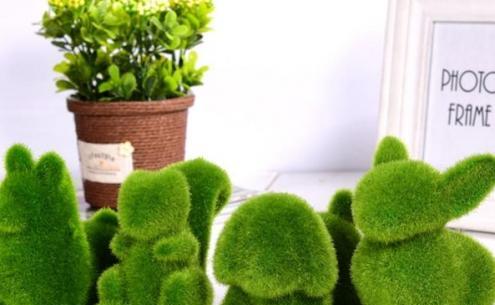 عکس تصاویر سبزه عید با خاکشیر
