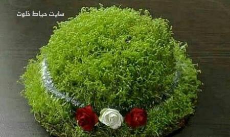 عکس تصاویر سبزه عید با خاکشیر