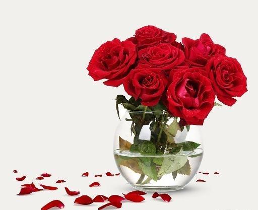 عکس گل طبیعی برای پروفایل واتساپ