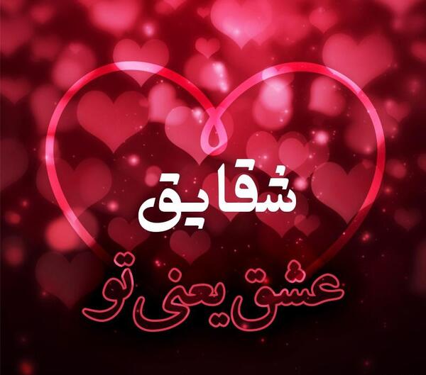 عکس شقایق عاشقانه