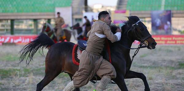 عکس اسب کردی