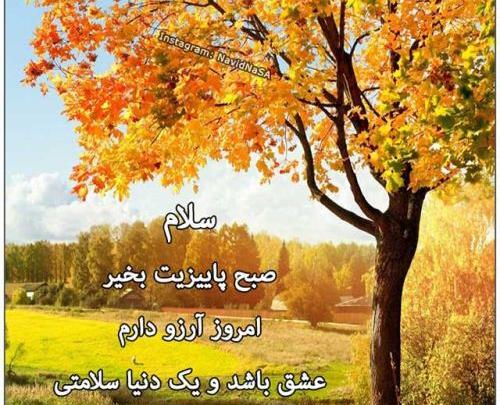 عکس تصاویر صبح بخیر طبیعت