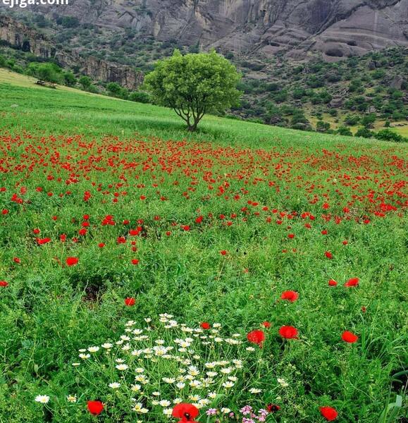 عکسهای زیبا از طبیعت لرستان