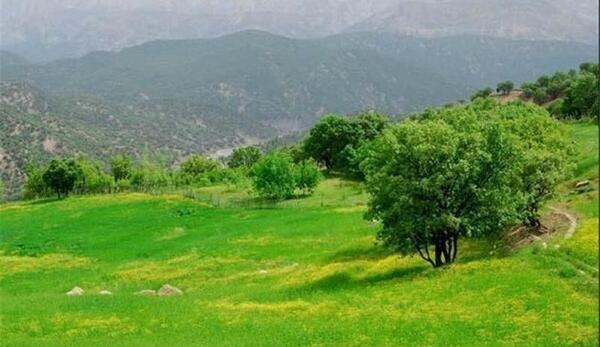عکس از طبیعت نوروزی