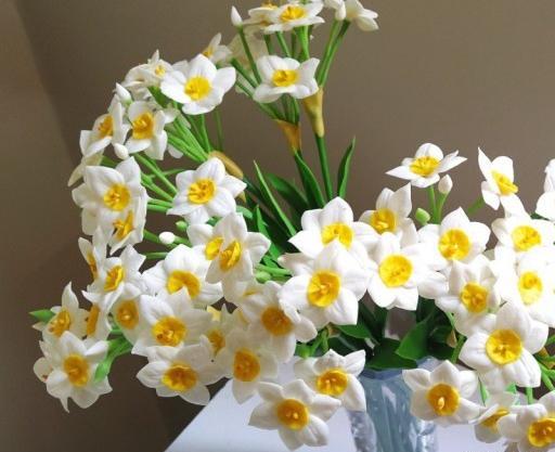 عکس یک شاخه گل نرگس