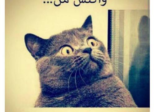 عکس نوشته طنز شب امتحان