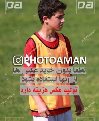 عکس سینا قاسمی