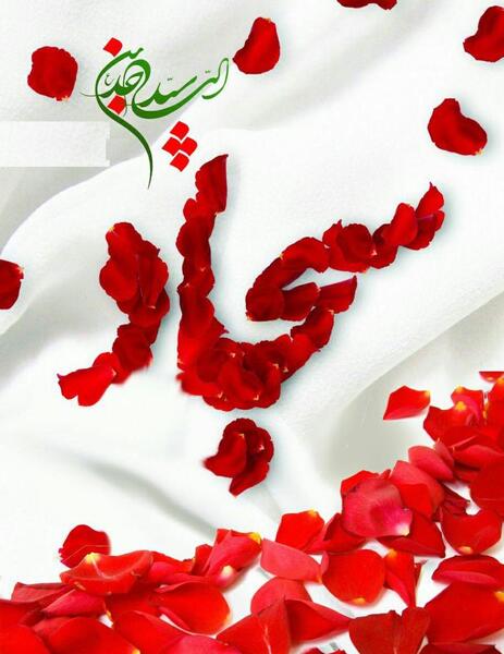 عکس سجاد فاطمه