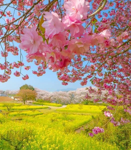 عکس های زیبا و خاص از طبیعت