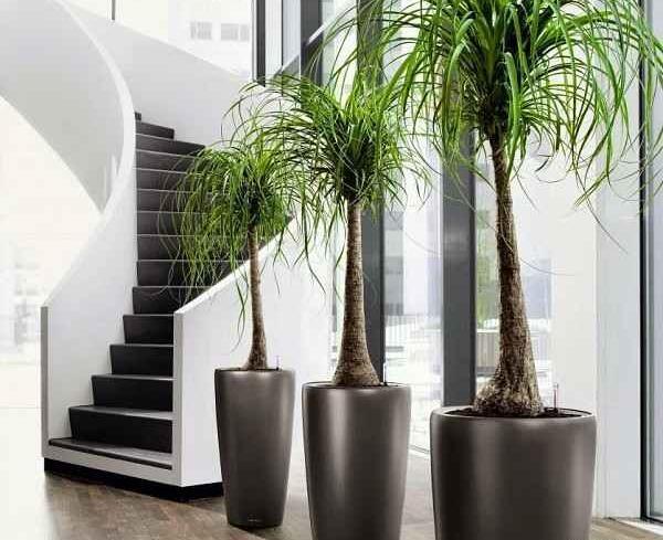 عکس لاکچری آپارتمانی